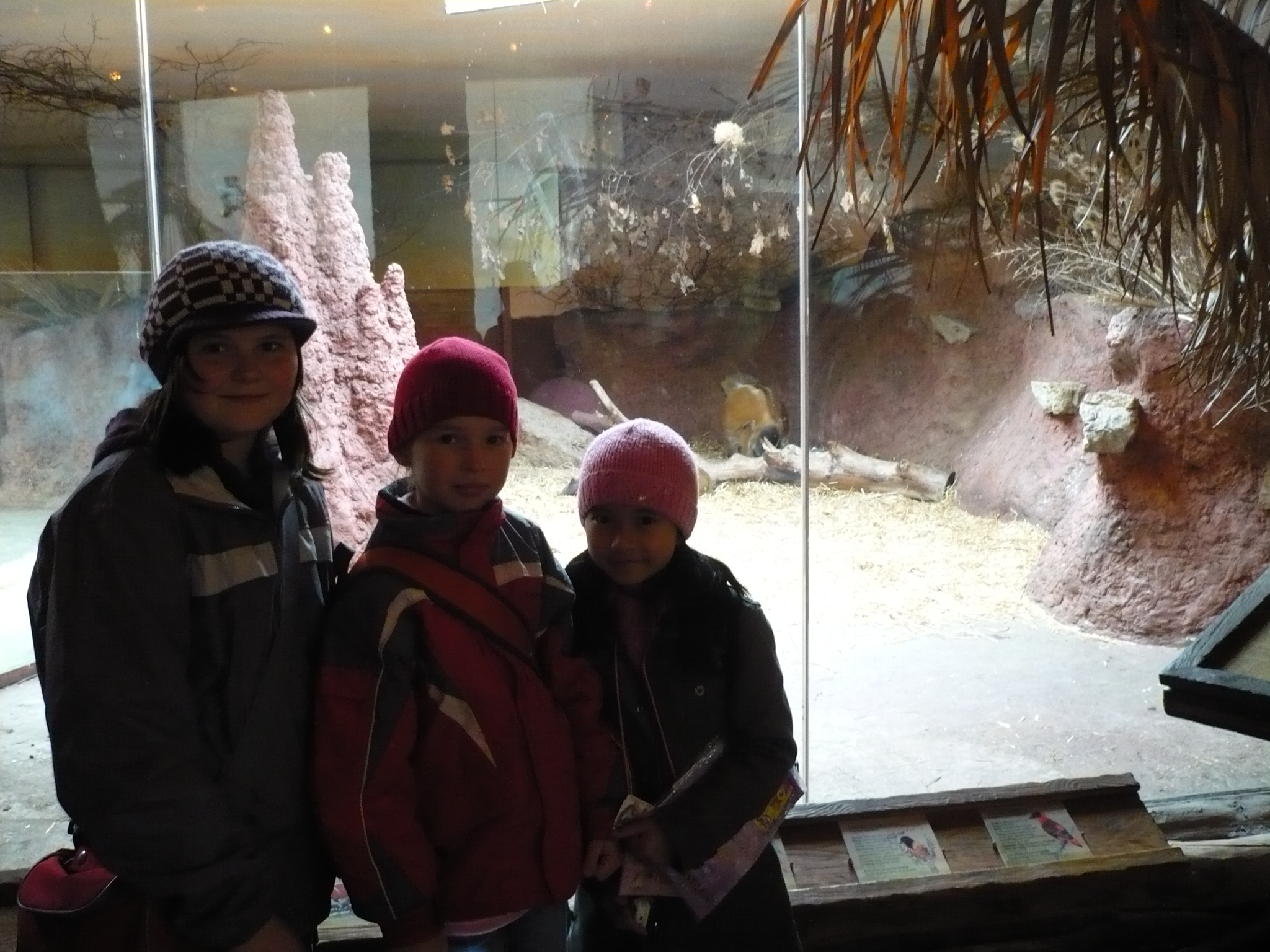 P1010340.JPG